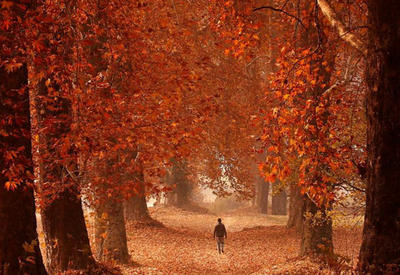 Самые запоминающиеся фото за неделю в разных уголках мира <span class="color_red">- ФОТО</span>
