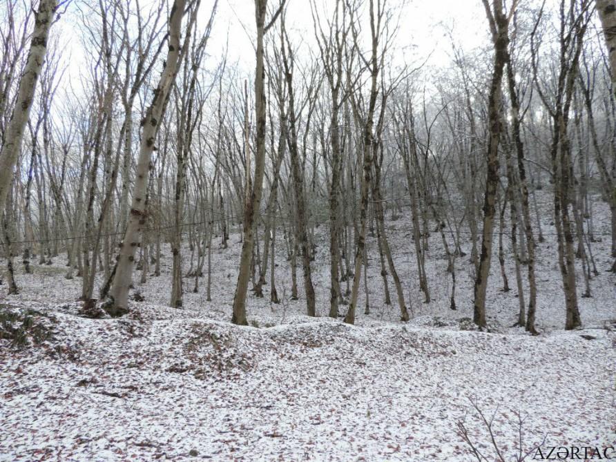 Qəçrəşin “qış nağılı”