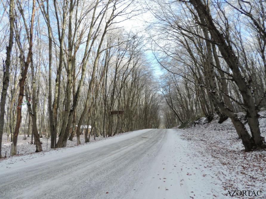 Qəçrəşin “qış nağılı”