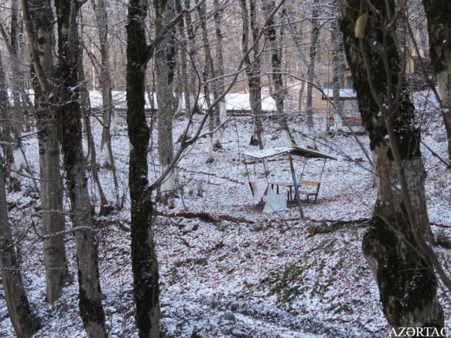 Qəçrəşin “qış nağılı”