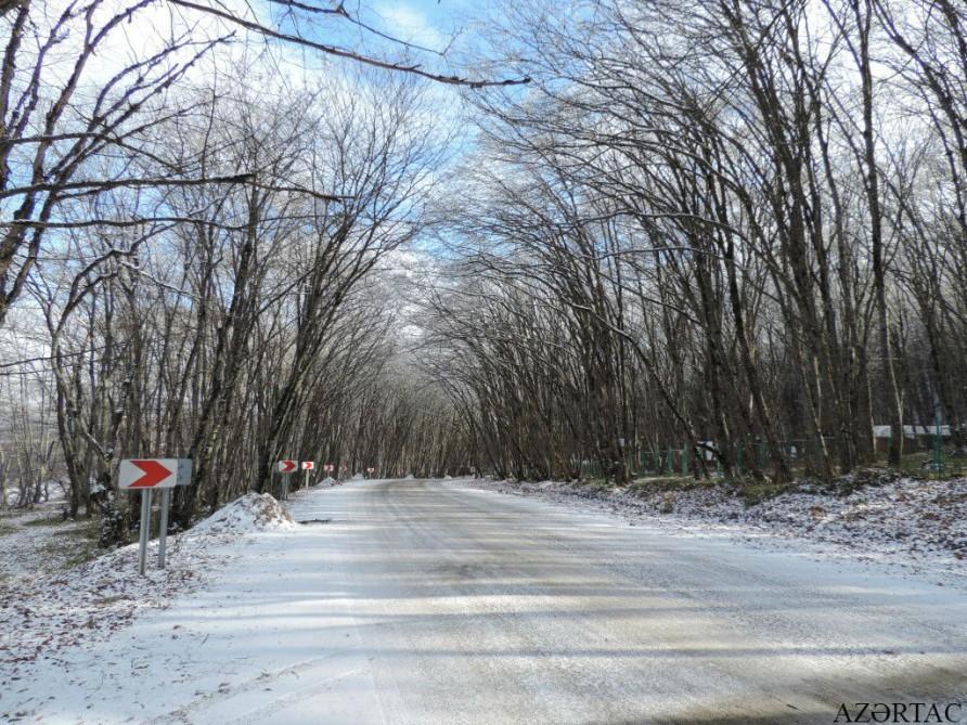 Qəçrəşin “qış nağılı”