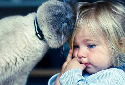 23 замечательных фотодоказательства того, что детям нужны кошки <span class="color_red">- ФОТО</span>