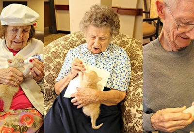 Неожиданный жест приюта для животных в США <span class="color_red">- 7 ФОТО</span>