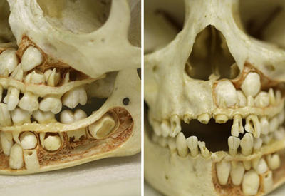 13 неслыханных фактов, которые перевернут твой мир с ног на голову