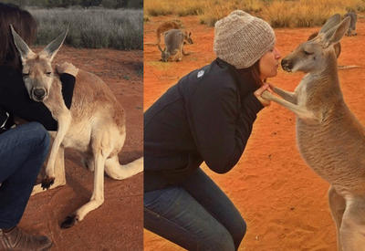 Самый ласковый кенгуру на свете, который обожает обниматься <span class="color_red">- 5 ФОТО</span>