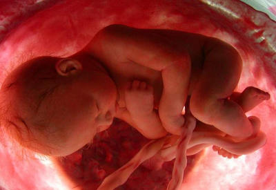 Что на самом деле чувствует ребенок, когда беременная плачет <span class="color_red">- ВИДЕО</span>