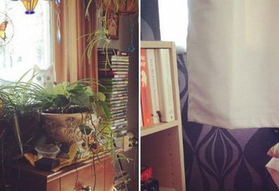 17 фотографий из серии &quot;Найди кота&quot;