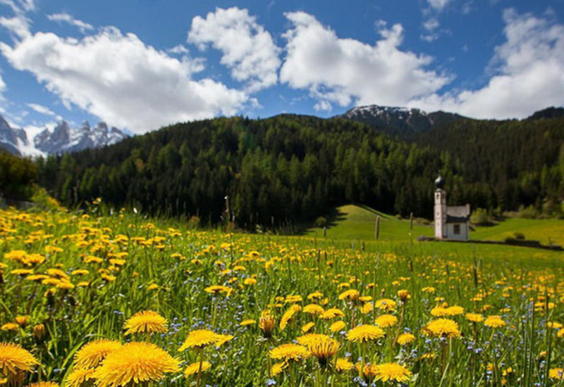 Величественная красота Альп, утопающих в зеленых лугах