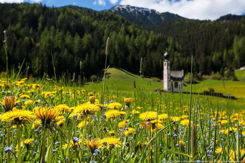Величественная красота Альп, утопающих в зеленых лугах