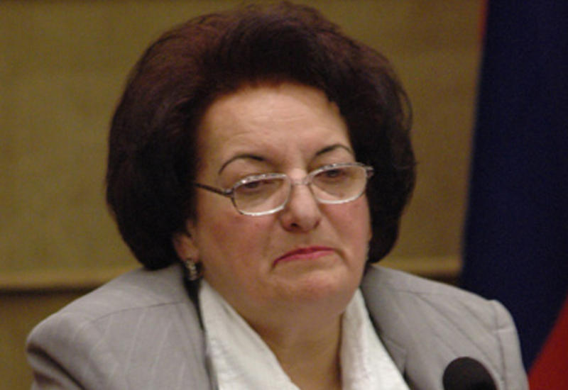 Эльмира Сулейманова отчиталась перед Милли Меджлисом