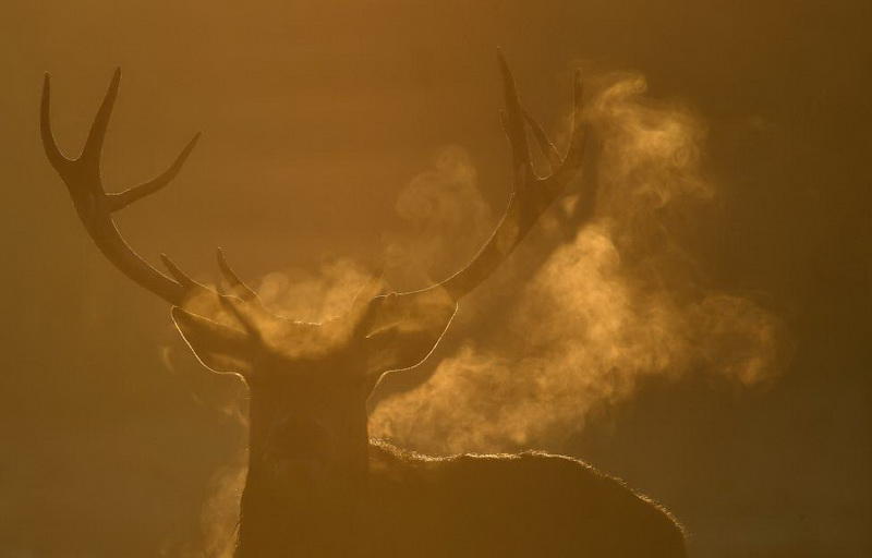Самые впечатляющие фотографии со всех уголков мира за неделю