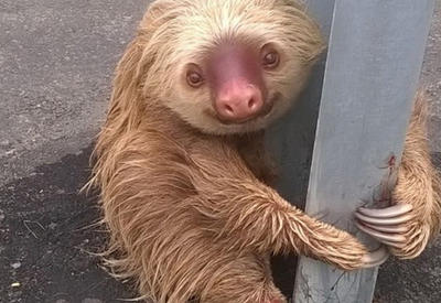 В нужный момент: 14 самых эффектных фото 2016 года