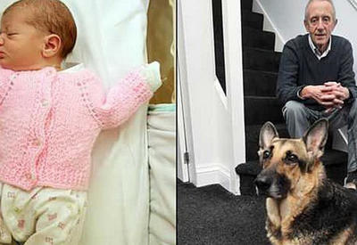 Немецкая овчарка спасла от смерти младенца, которого выбросили умирать <span class="color_red">- 3 ФОТО</span>