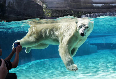 Самые красивые зоопарки мира <span class="color_red">- 24 ФОТО</span>