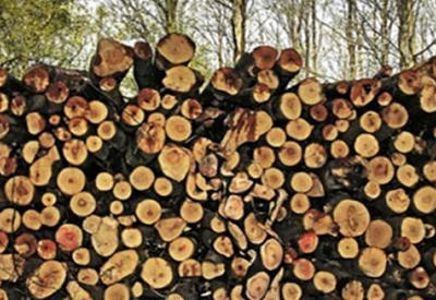 Если вы увидели женщину на всех снимках, то ваш IQ — выше 125! <span class="color_red">- 4 ФОТО</span>