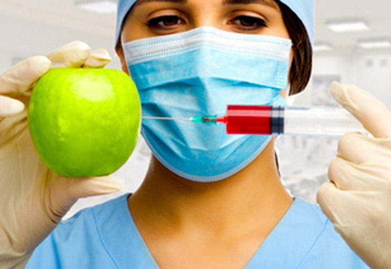 GDO-lu məhsulların zərərli təsirləri