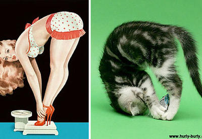 Пин-ап девушки против кошек в борьбе за вашу любовь <span class="color_red">- 14 ФОТО</span>