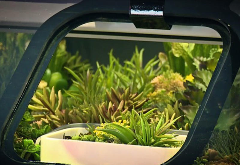 В Детройте презентовали автомобиль-сад