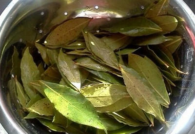 Волшебные свойства лаврового листа, о которых ты наверняка не знал