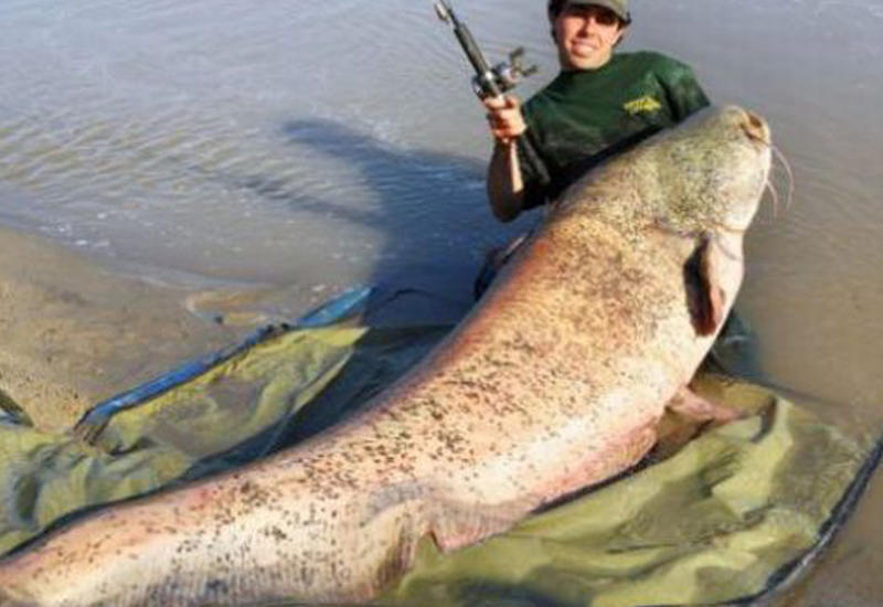 9 самых безумных уловов в море