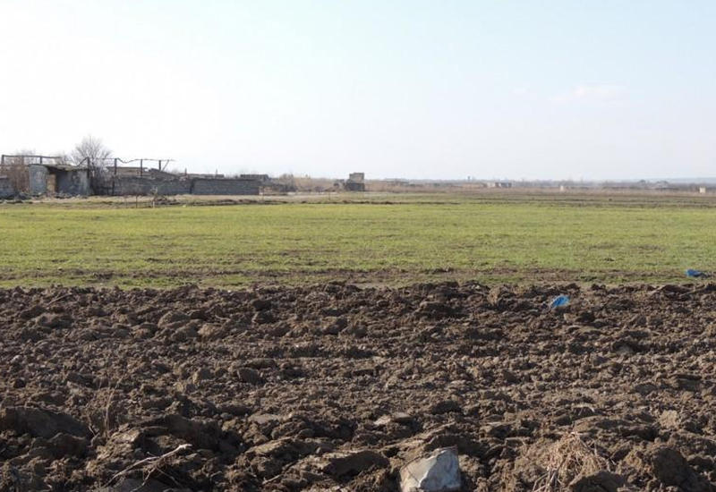 Джоджуг Мерджанлы подключается к стационарной телефонной сети