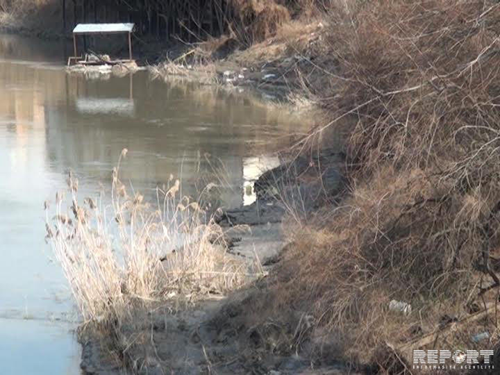 Уровень Куры критически снижается