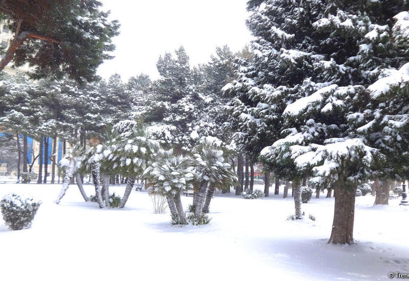 Баку в белоснежном одеянии