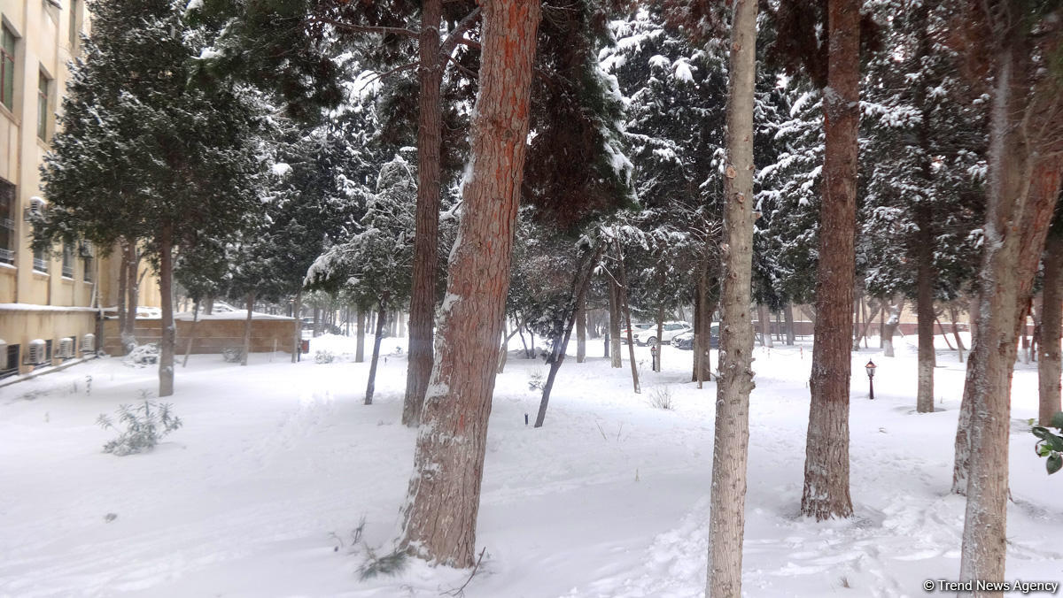 Баку в белоснежном одеянии