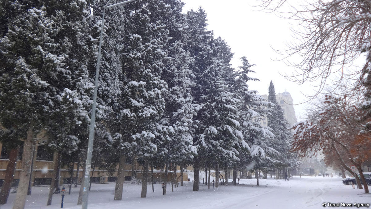 Баку в белоснежном одеянии