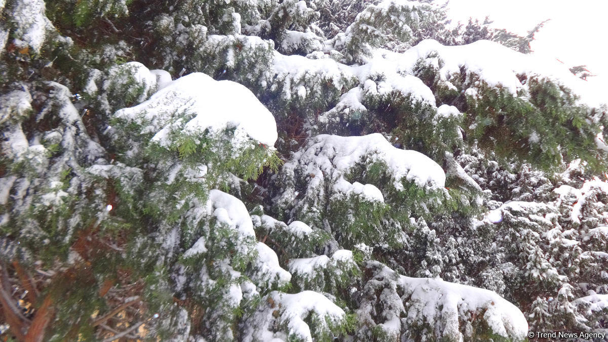 Баку в белоснежном одеянии