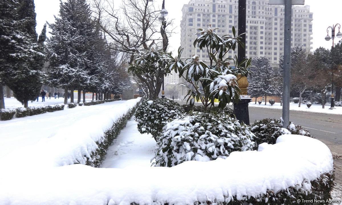 Баку в белоснежном одеянии
