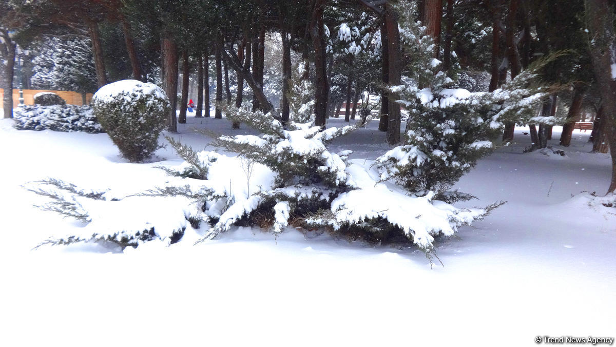 Баку в белоснежном одеянии