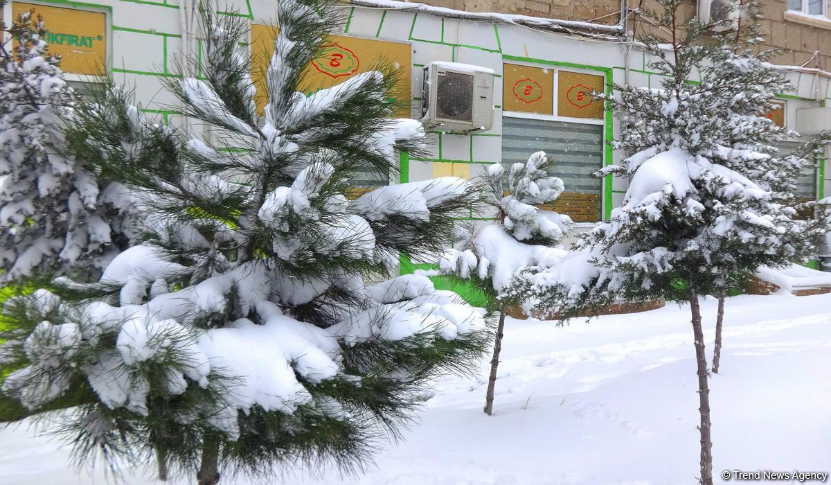 Баку в белоснежном одеянии