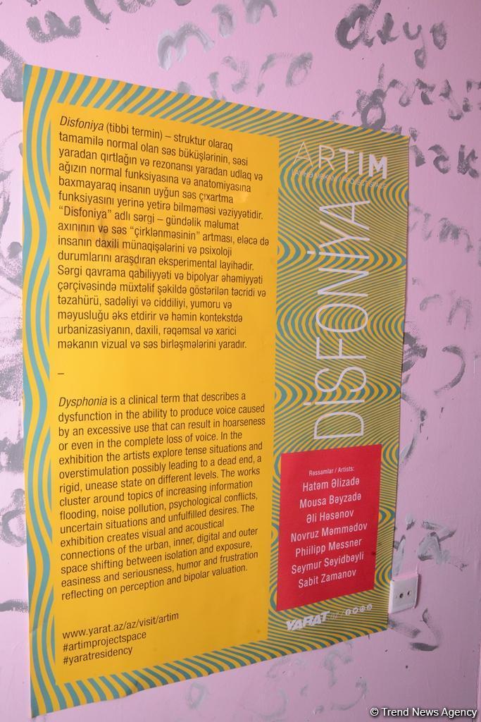 В проектном пространстве ARTIM открылась выставка "Дисфония"