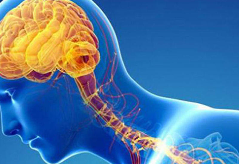 Parkinson xəstəliyi. SƏBƏBLƏR, SİMPTOMLAR, MÜALİCƏ