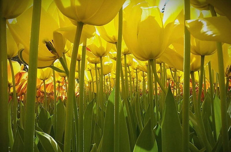 Победители детского конкурса фотографий от National Geographic