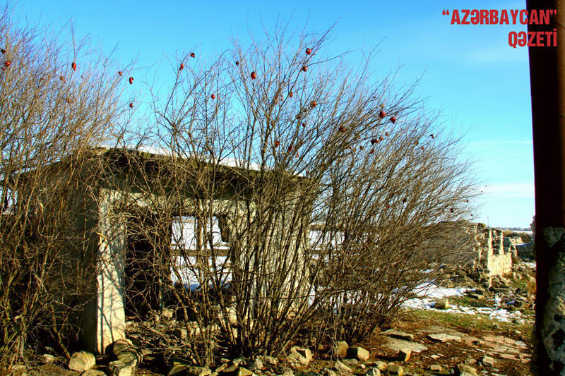 Lələtəpə zəfəri böyük qayıdışın təməli oldu