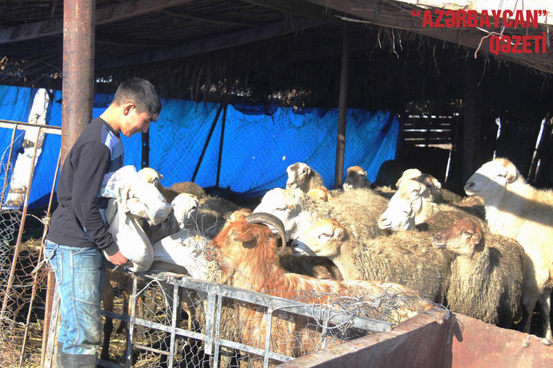 Lələtəpə zəfəri böyük qayıdışın təməli oldu