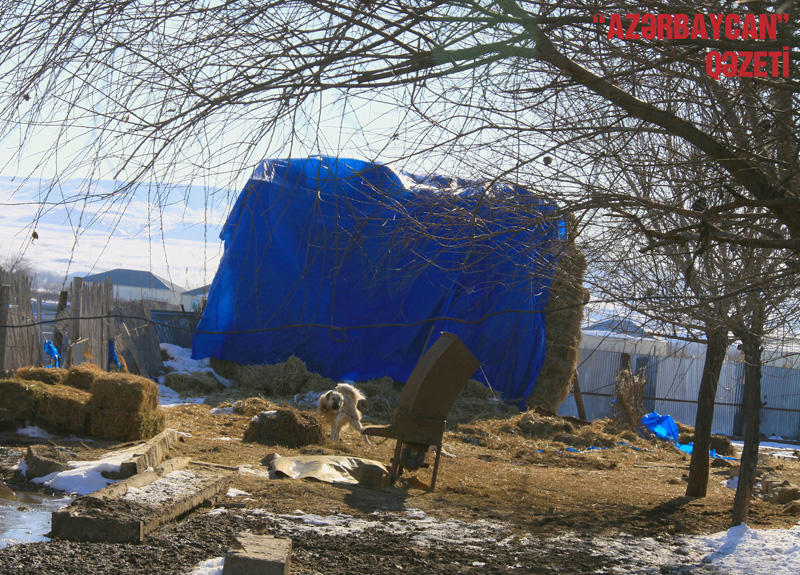 Lələtəpə zəfəri böyük qayıdışın təməli oldu