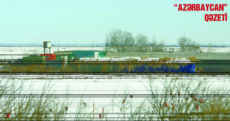 Lələtəpə zəfəri böyük qayıdışın təməli oldu