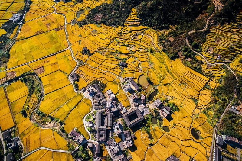 Лучшие фотографии, сделанные при помощи дронов, по версии SkyPixel