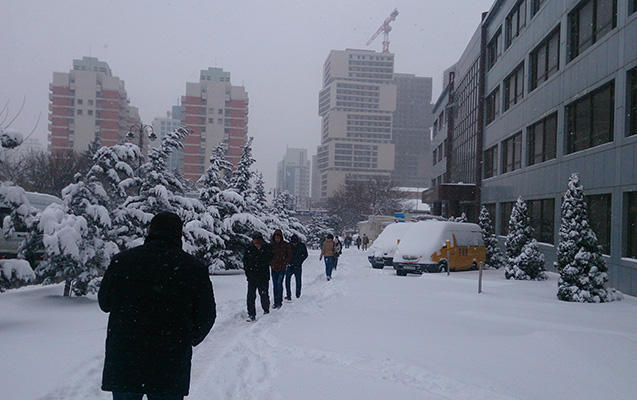 Баку засыпало снегом