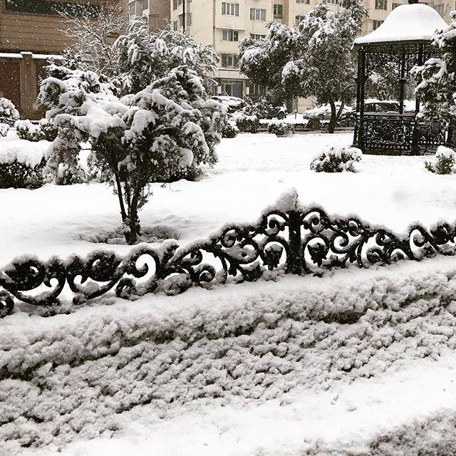 Баку засыпало снегом