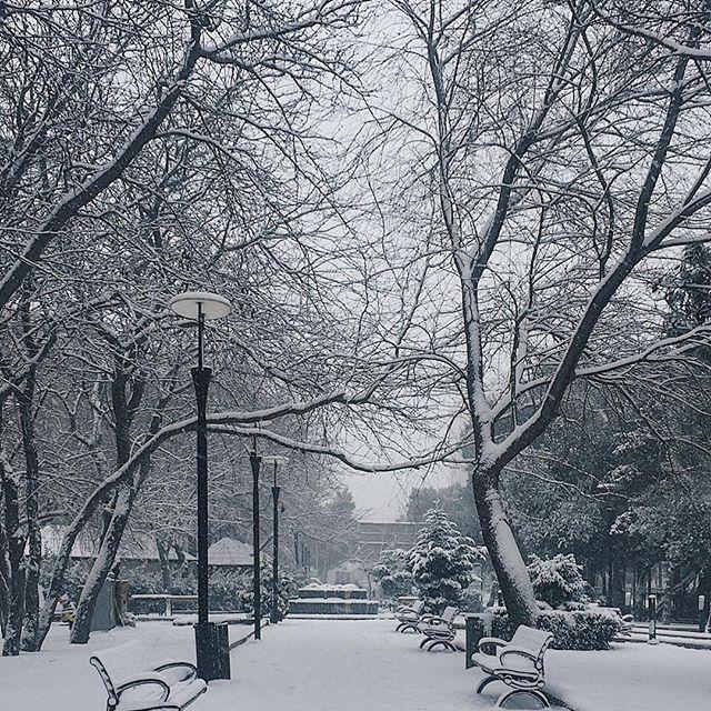 Баку засыпало снегом