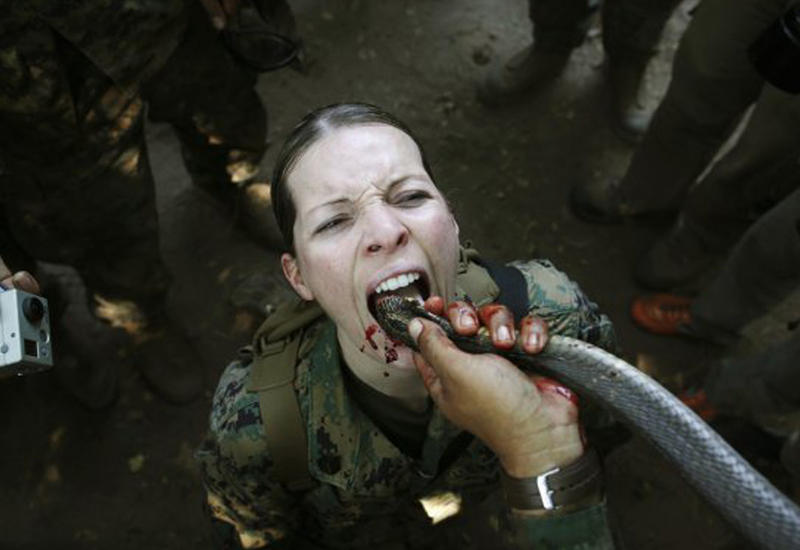 Морпехи на учениях пьют змеиную кровь и едят скорпионов