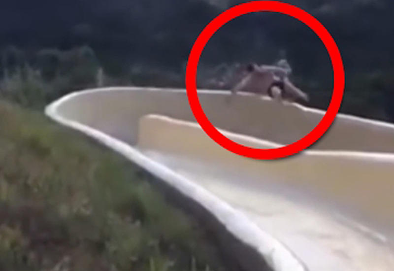 5 ужасных и шокирующих трагедий, произошедших в аквапарках