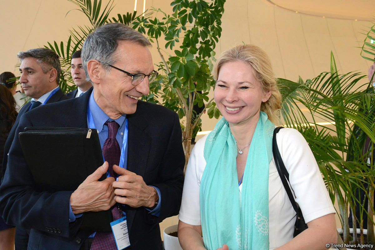 Натиг Алиев: Стоимость проекта "Южный газовый коридор" снизится