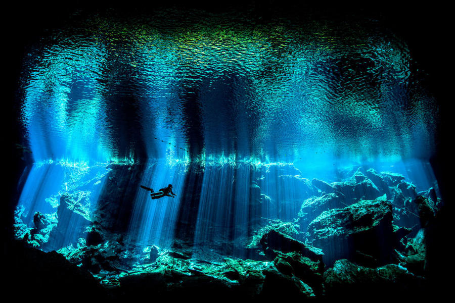 Победители фотоконкурса Underwater Photographer of the Year 2017