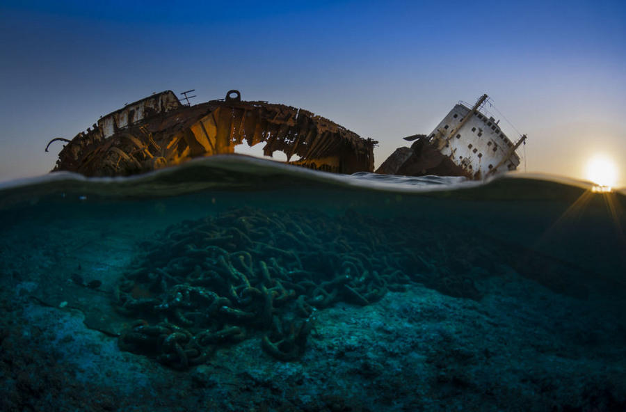 Победители фотоконкурса Underwater Photographer of the Year 2017