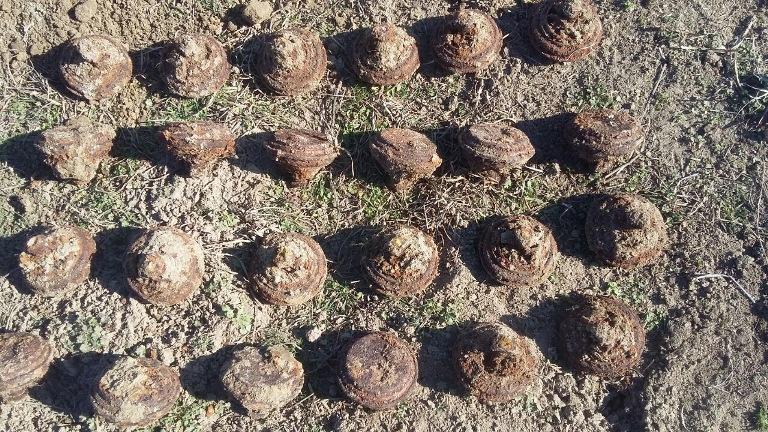 Джоджуг Марджанлы очищают от армянских мин и ракет